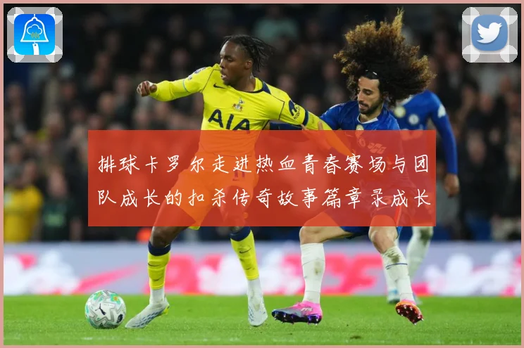 排球卡罗尔走进热血青春赛场与团队成长的扣杀传奇故事篇章录成长观察-深度解析