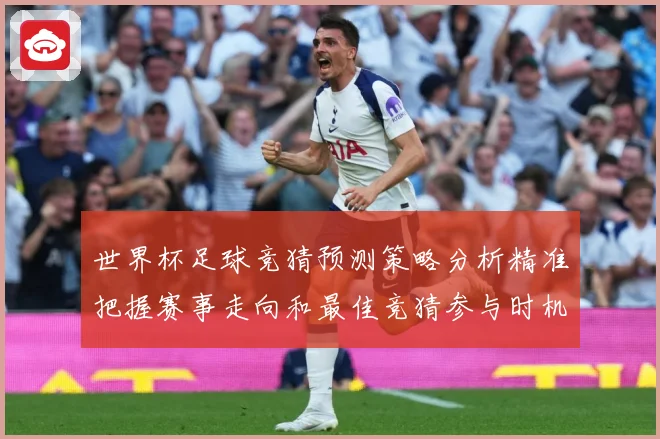 世界杯足球竞猜预测策略分析精准把握赛事走向和最佳竞猜参与时机数据研判-深度解析