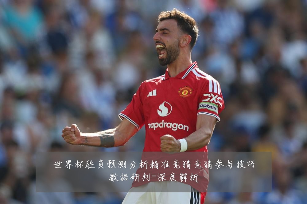 世界杯胜负预测分析精准竞猜竞猜参与技巧数据研判-深度解析